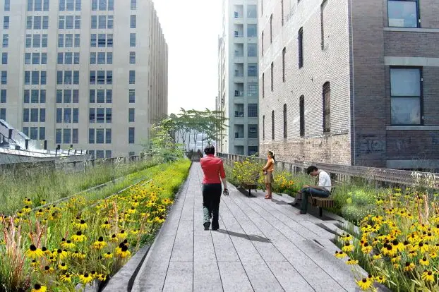 "A straight walkway, running alongside the railroad tracks, is surrounded by a landscape of native species that once grew spontaneously on the High Line, interspersed with new species that ensure bloom throughout the growing season."